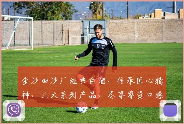 金沙回沙厂经典白酒，传承匠心精神，三大系列产品，尽享尊贵口感，品鉴首选。