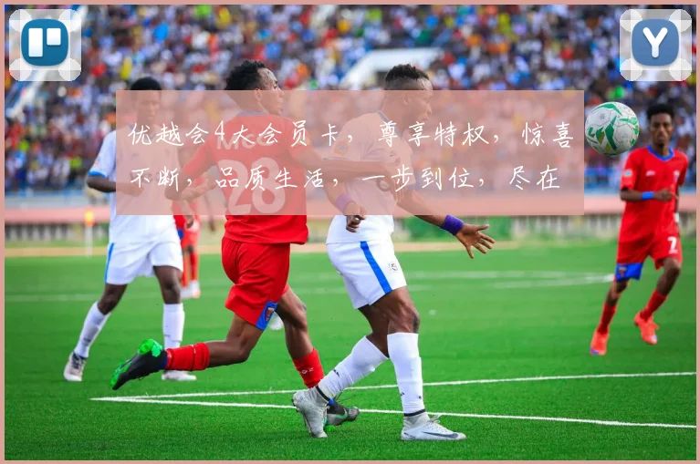 优越会4大会员卡，尊享特权，惊喜不断，品质生活，一步到位，尽在优越会