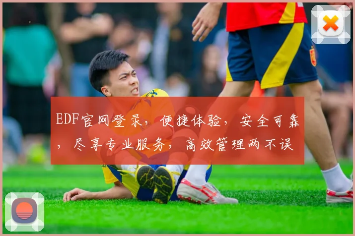 EDF官网登录，便捷体验，安全可靠，尽享专业服务，高效管理两不误