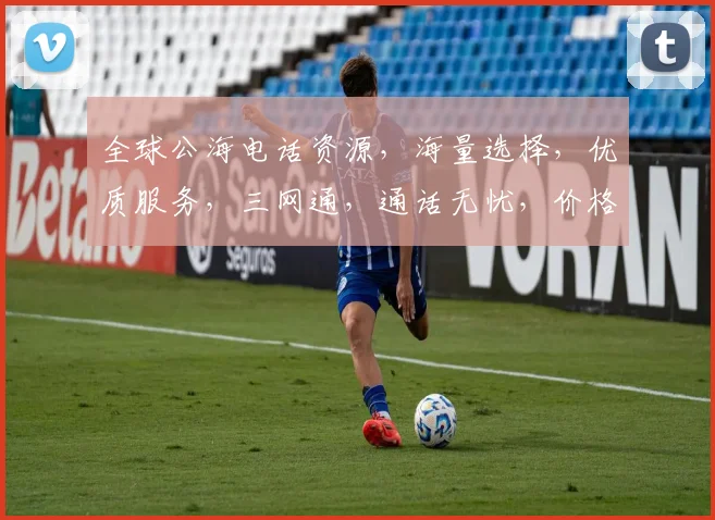 全球公海电话资源，海量选择，优质服务，三网通，通话无忧，价格实惠，轻松接入。
