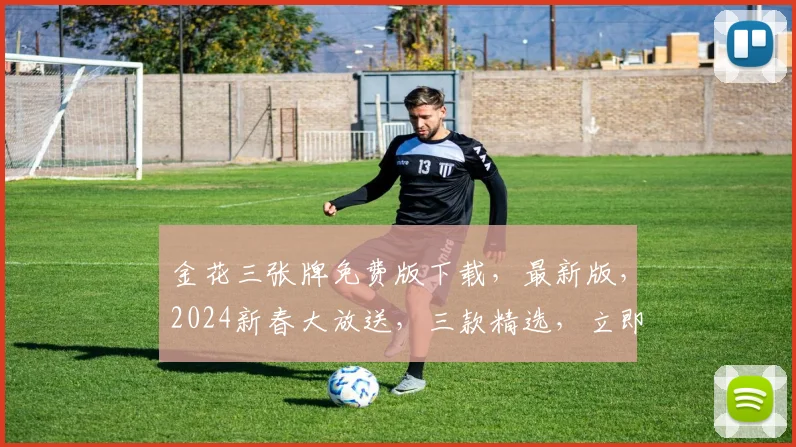 金花三张牌免费版下载，最新版，2024新春大放送，三款精选，立即体验逗逗牌友